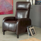 Fauteuil inclinable Stratton par Christopher Knight Home